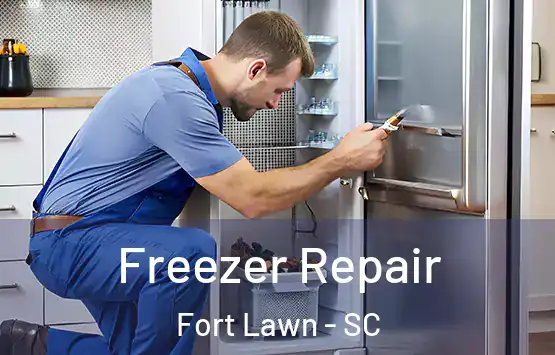  Freezer Repair Fort Lawn - SC