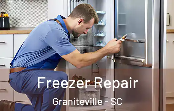  Freezer Repair Graniteville - SC