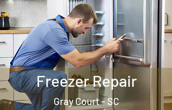  Freezer Repair Gray Court - SC
