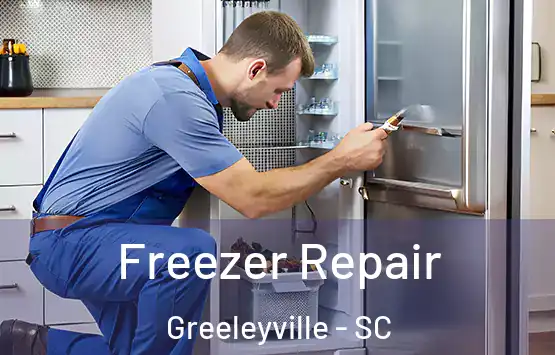  Freezer Repair Greeleyville - SC