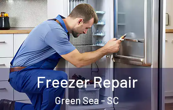  Freezer Repair Green Sea - SC