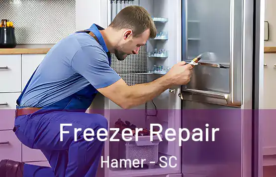  Freezer Repair Hamer - SC