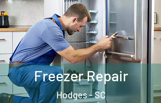  Freezer Repair Hodges - SC