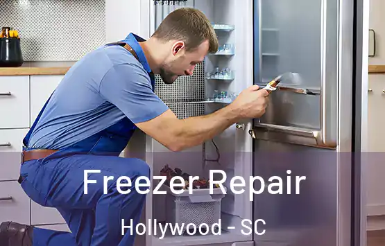  Freezer Repair Hollywood - SC