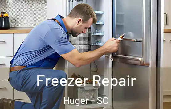  Freezer Repair Huger - SC