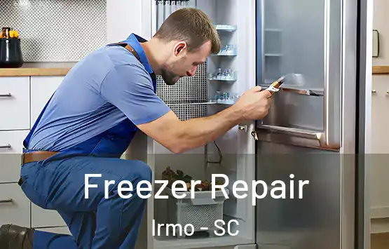  Freezer Repair Irmo - SC