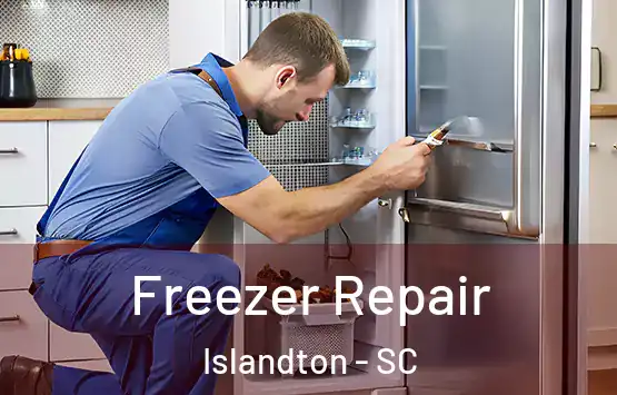  Freezer Repair Islandton - SC