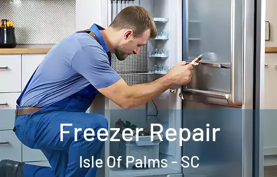  Freezer Repair Isle Of Palms - SC