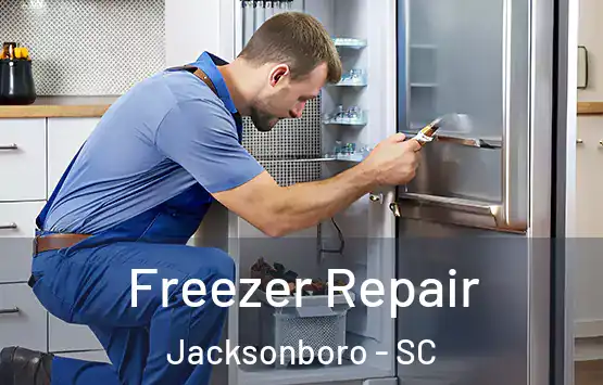  Freezer Repair Jacksonboro - SC
