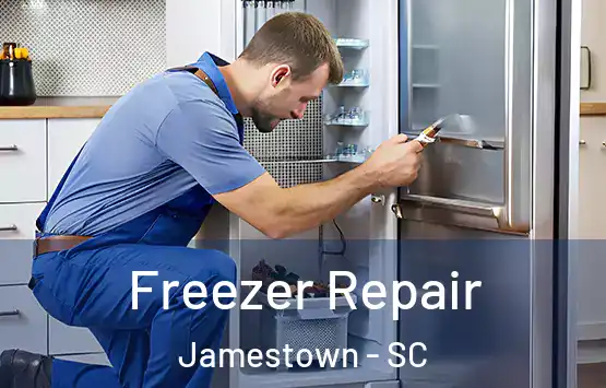  Freezer Repair Jamestown - SC