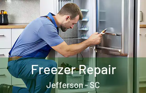 Freezer Repair Jefferson - SC