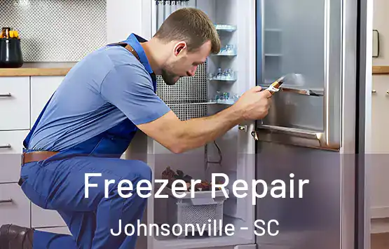  Freezer Repair Johnsonville - SC