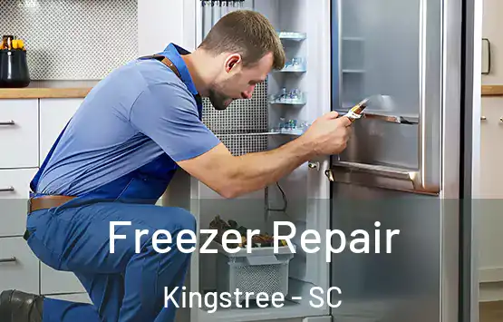  Freezer Repair Kingstree - SC