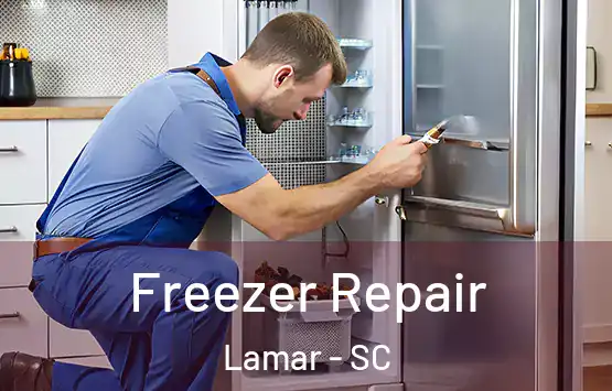  Freezer Repair Lamar - SC