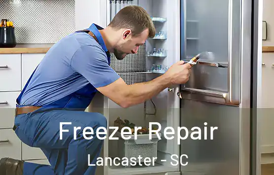  Freezer Repair Lancaster - SC