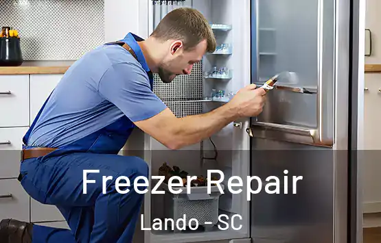  Freezer Repair Lando - SC