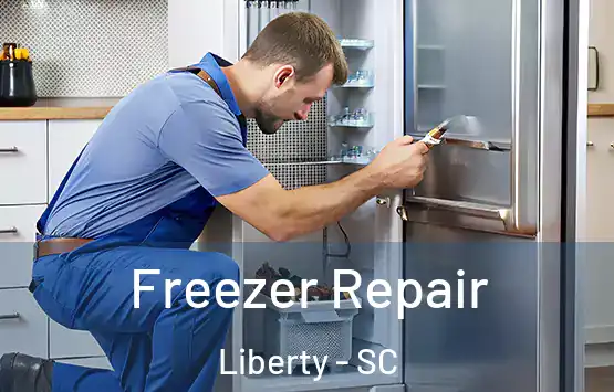  Freezer Repair Liberty - SC