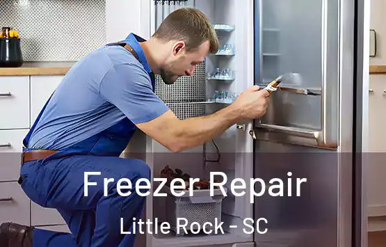  Freezer Repair Little Rock - SC