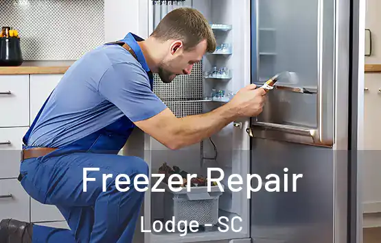  Freezer Repair Lodge - SC