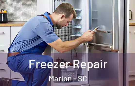  Freezer Repair Marion - SC