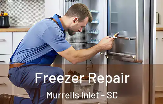  Freezer Repair Murrells Inlet - SC