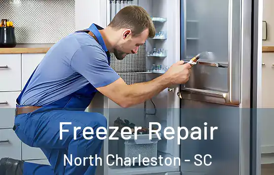  Freezer Repair North Charleston - SC
