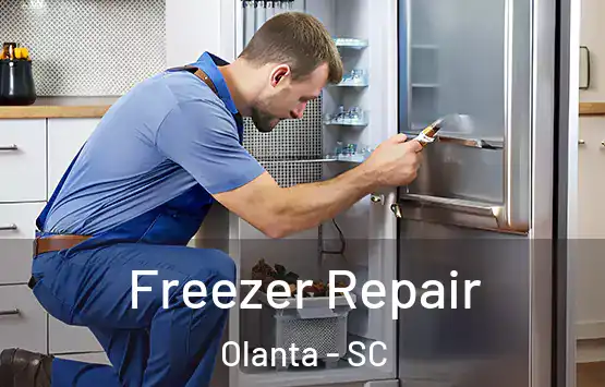  Freezer Repair Olanta - SC