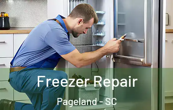  Freezer Repair Pageland - SC