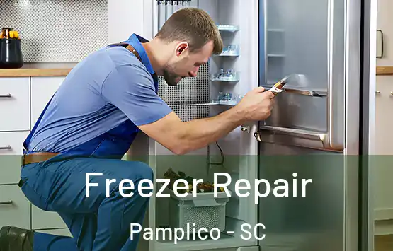 Freezer Repair Pamplico - SC