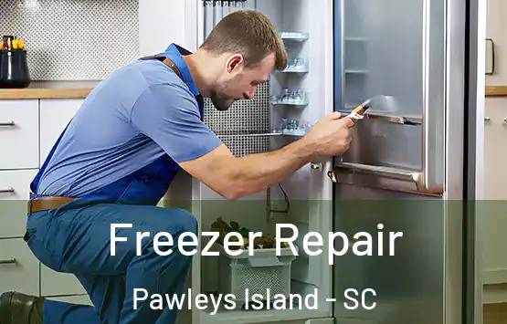  Freezer Repair Pawleys Island - SC