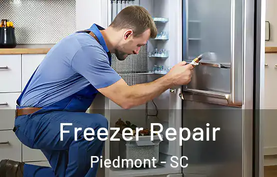  Freezer Repair Piedmont - SC