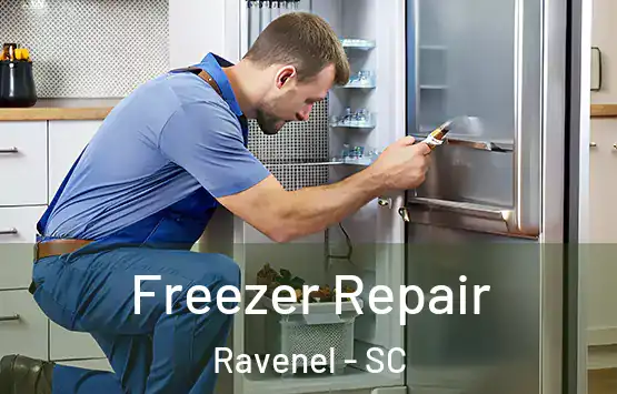  Freezer Repair Ravenel - SC