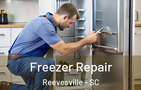  Freezer Repair Reevesville - SC