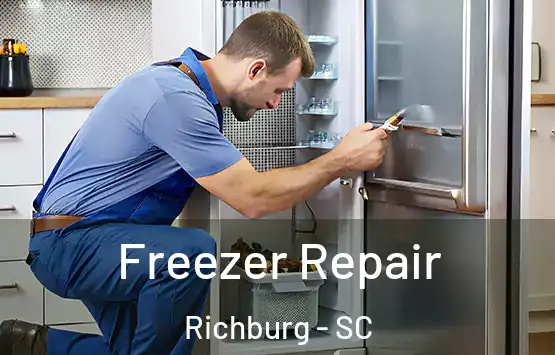  Freezer Repair Richburg - SC