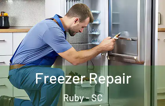  Freezer Repair Ruby - SC
