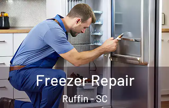  Freezer Repair Ruffin - SC