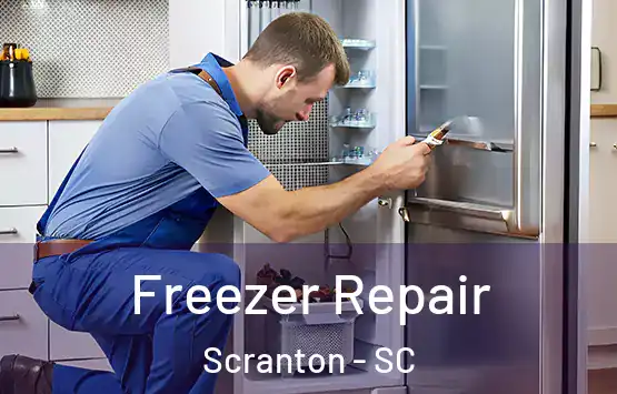 Freezer Repair Scranton - SC