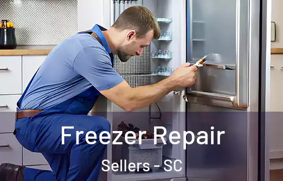  Freezer Repair Sellers - SC