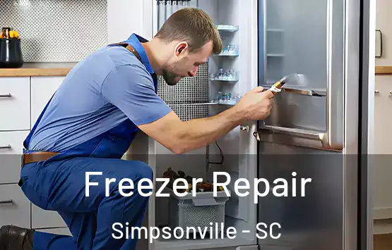  Freezer Repair Simpsonville - SC