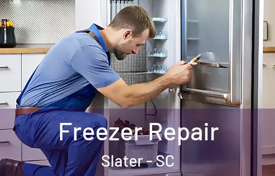  Freezer Repair Slater - SC