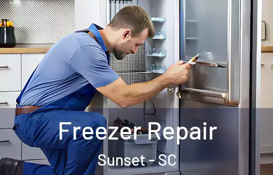  Freezer Repair Sunset - SC