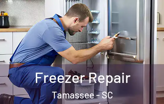  Freezer Repair Tamassee - SC