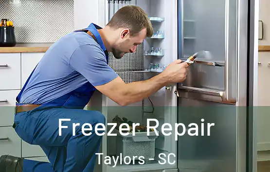  Freezer Repair Taylors - SC