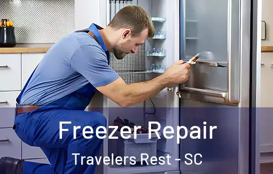  Freezer Repair Travelers Rest - SC
