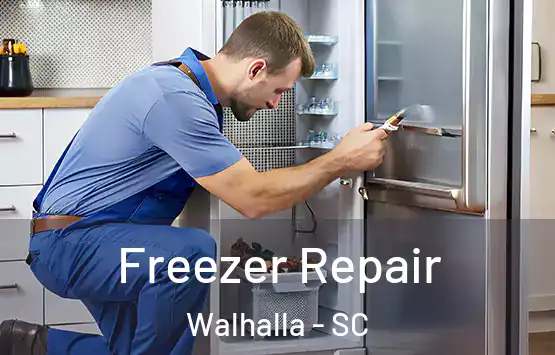  Freezer Repair Walhalla - SC