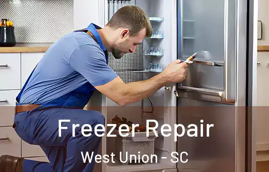  Freezer Repair West Union - SC