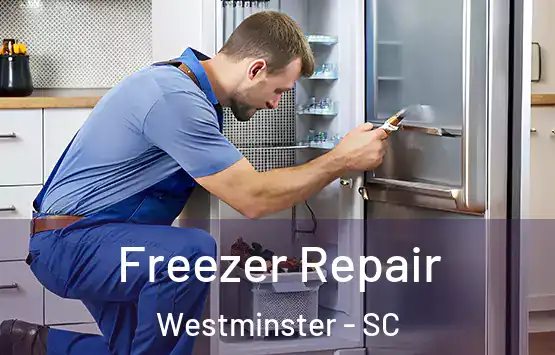  Freezer Repair Westminster - SC