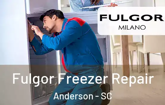  Fulgor Freezer Repair Anderson - SC
