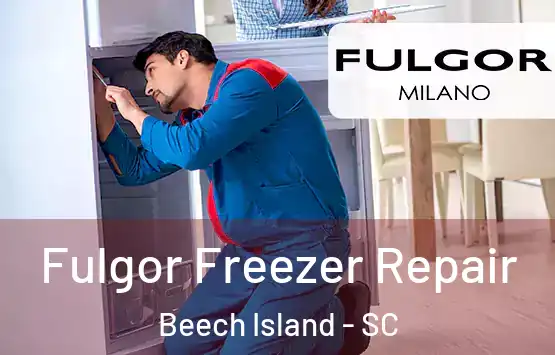  Fulgor Freezer Repair Beech Island - SC