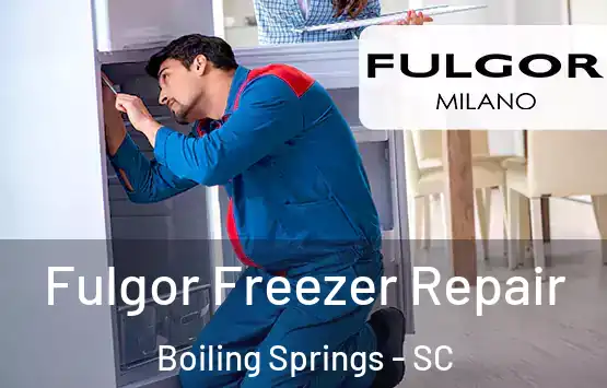  Fulgor Freezer Repair Boiling Springs - SC